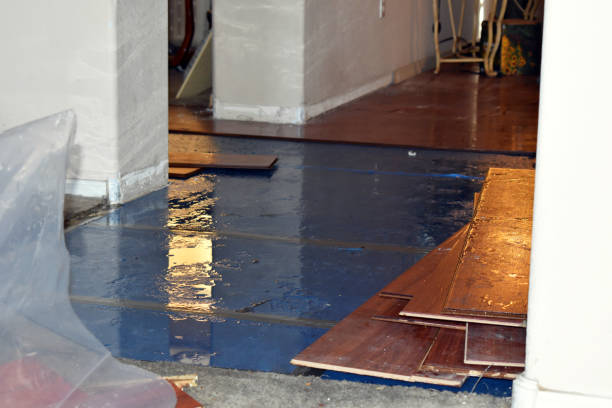 Professional Basement Flood Cleanup technician working in New Munich, MN